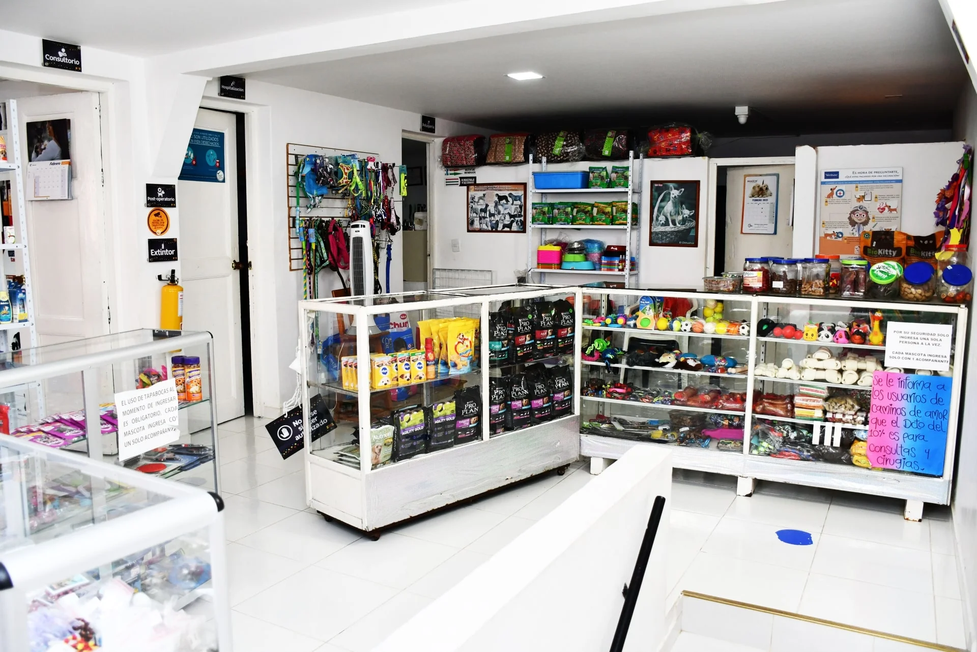 Portafolio Hero Kanes Tienda de Mascotas Asocoandi-min